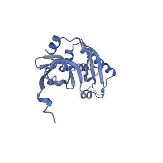 12759_7o81_Aa_v1-2
Rabbit 80S ribosome colliding in another ribosome stalled by the SARS-CoV-2 pseudoknot
