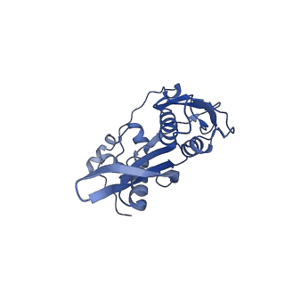 12759_7o81_Ab_v1-2
Rabbit 80S ribosome colliding in another ribosome stalled by the SARS-CoV-2 pseudoknot