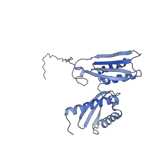 12759_7o81_Ac_v1-2
Rabbit 80S ribosome colliding in another ribosome stalled by the SARS-CoV-2 pseudoknot