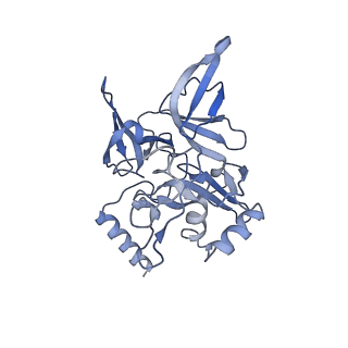 12759_7o81_Ad_v1-2
Rabbit 80S ribosome colliding in another ribosome stalled by the SARS-CoV-2 pseudoknot