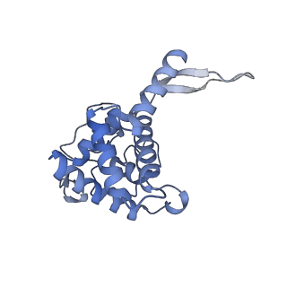 12759_7o81_Ae_v1-2
Rabbit 80S ribosome colliding in another ribosome stalled by the SARS-CoV-2 pseudoknot