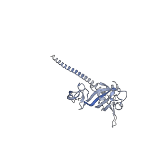 12759_7o81_Af_v1-2
Rabbit 80S ribosome colliding in another ribosome stalled by the SARS-CoV-2 pseudoknot
