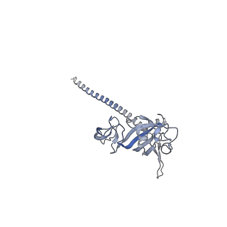 12759_7o81_Af_v3-0
Rabbit 80S ribosome colliding in another ribosome stalled by the SARS-CoV-2 pseudoknot