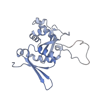12759_7o81_Ag_v1-2
Rabbit 80S ribosome colliding in another ribosome stalled by the SARS-CoV-2 pseudoknot