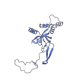 12759_7o81_Ah_v1-2
Rabbit 80S ribosome colliding in another ribosome stalled by the SARS-CoV-2 pseudoknot
