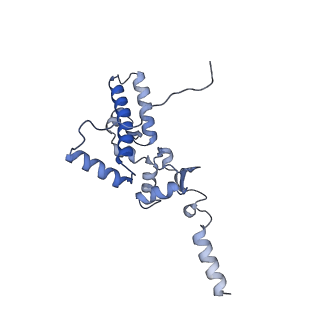 12759_7o81_Ai_v1-2
Rabbit 80S ribosome colliding in another ribosome stalled by the SARS-CoV-2 pseudoknot