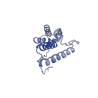 12759_7o81_Am_v1-2
Rabbit 80S ribosome colliding in another ribosome stalled by the SARS-CoV-2 pseudoknot