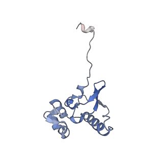 12759_7o81_Ao_v1-2
Rabbit 80S ribosome colliding in another ribosome stalled by the SARS-CoV-2 pseudoknot