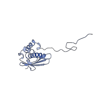 12759_7o81_Ap_v1-2
Rabbit 80S ribosome colliding in another ribosome stalled by the SARS-CoV-2 pseudoknot