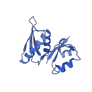 12759_7o81_Av_v1-2
Rabbit 80S ribosome colliding in another ribosome stalled by the SARS-CoV-2 pseudoknot