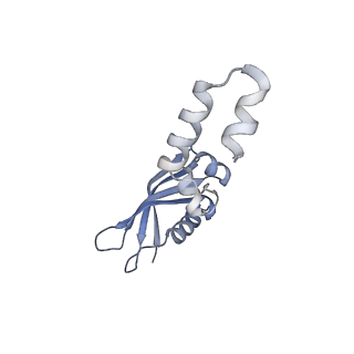 12759_7o81_Ax_v1-2
Rabbit 80S ribosome colliding in another ribosome stalled by the SARS-CoV-2 pseudoknot