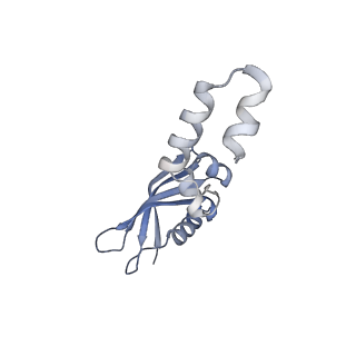 12759_7o81_Ax_v3-0
Rabbit 80S ribosome colliding in another ribosome stalled by the SARS-CoV-2 pseudoknot
