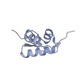 12759_7o81_Ay_v1-2
Rabbit 80S ribosome colliding in another ribosome stalled by the SARS-CoV-2 pseudoknot