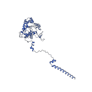 12759_7o81_BC_v3-0
Rabbit 80S ribosome colliding in another ribosome stalled by the SARS-CoV-2 pseudoknot