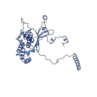 12759_7o81_BD_v1-2
Rabbit 80S ribosome colliding in another ribosome stalled by the SARS-CoV-2 pseudoknot