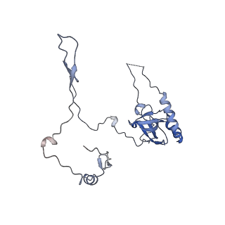 12759_7o81_BE_v1-2
Rabbit 80S ribosome colliding in another ribosome stalled by the SARS-CoV-2 pseudoknot