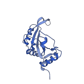 12759_7o81_BJ_v1-2
Rabbit 80S ribosome colliding in another ribosome stalled by the SARS-CoV-2 pseudoknot