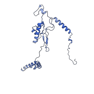 12759_7o81_BL_v1-2
Rabbit 80S ribosome colliding in another ribosome stalled by the SARS-CoV-2 pseudoknot