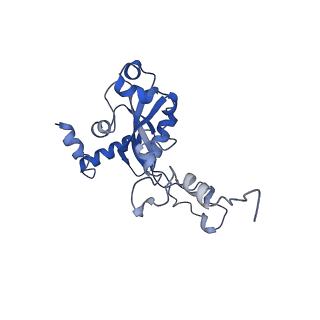 12759_7o81_BN_v1-2
Rabbit 80S ribosome colliding in another ribosome stalled by the SARS-CoV-2 pseudoknot