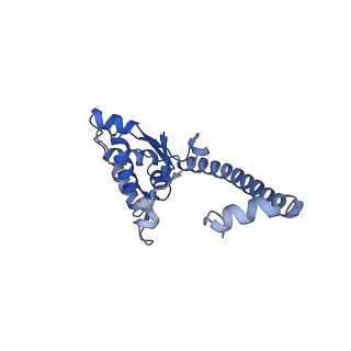 12759_7o81_BO_v1-2
Rabbit 80S ribosome colliding in another ribosome stalled by the SARS-CoV-2 pseudoknot