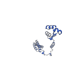 12759_7o81_BR_v1-2
Rabbit 80S ribosome colliding in another ribosome stalled by the SARS-CoV-2 pseudoknot