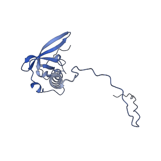12759_7o81_BT_v1-2
Rabbit 80S ribosome colliding in another ribosome stalled by the SARS-CoV-2 pseudoknot