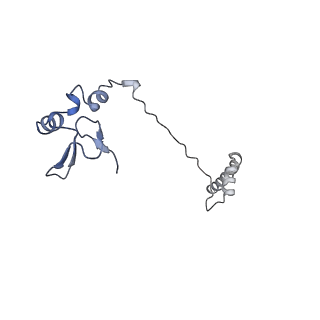 12759_7o81_BW_v1-2
Rabbit 80S ribosome colliding in another ribosome stalled by the SARS-CoV-2 pseudoknot