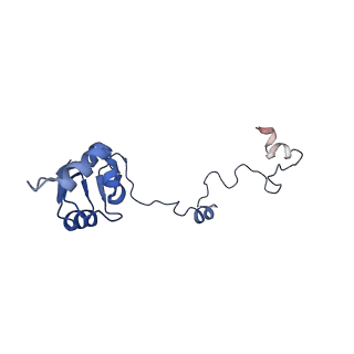 12759_7o81_Ba_v1-2
Rabbit 80S ribosome colliding in another ribosome stalled by the SARS-CoV-2 pseudoknot
