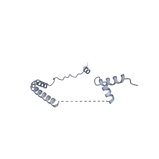 12759_7o81_Bb_v1-2
Rabbit 80S ribosome colliding in another ribosome stalled by the SARS-CoV-2 pseudoknot