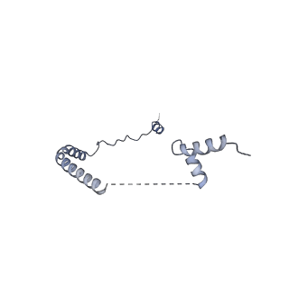 12759_7o81_Bb_v3-0
Rabbit 80S ribosome colliding in another ribosome stalled by the SARS-CoV-2 pseudoknot