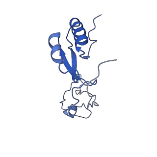 12759_7o81_Be_v1-2
Rabbit 80S ribosome colliding in another ribosome stalled by the SARS-CoV-2 pseudoknot