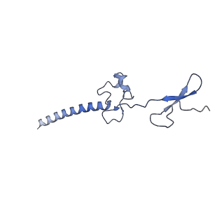 12759_7o81_Bg_v1-2
Rabbit 80S ribosome colliding in another ribosome stalled by the SARS-CoV-2 pseudoknot