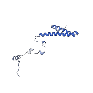 12759_7o81_Bh_v1-2
Rabbit 80S ribosome colliding in another ribosome stalled by the SARS-CoV-2 pseudoknot