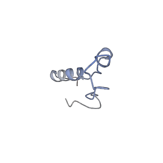 12759_7o81_Bl_v1-2
Rabbit 80S ribosome colliding in another ribosome stalled by the SARS-CoV-2 pseudoknot