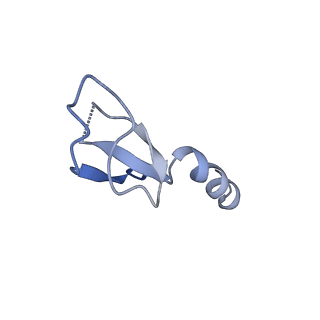 12759_7o81_Bm_v1-2
Rabbit 80S ribosome colliding in another ribosome stalled by the SARS-CoV-2 pseudoknot