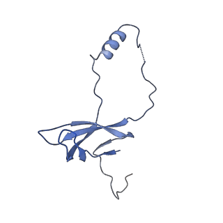 12759_7o81_Bo_v3-0
Rabbit 80S ribosome colliding in another ribosome stalled by the SARS-CoV-2 pseudoknot