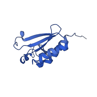 12759_7o81_Br_v1-2
Rabbit 80S ribosome colliding in another ribosome stalled by the SARS-CoV-2 pseudoknot
