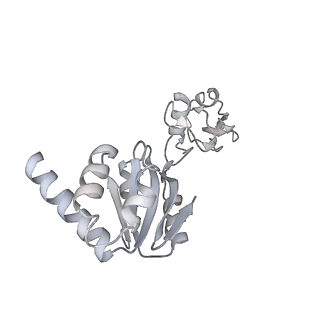12759_7o81_Bs_v1-2
Rabbit 80S ribosome colliding in another ribosome stalled by the SARS-CoV-2 pseudoknot