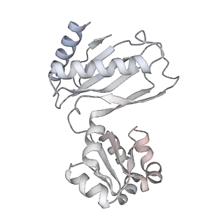 12759_7o81_Bv_v1-2
Rabbit 80S ribosome colliding in another ribosome stalled by the SARS-CoV-2 pseudoknot
