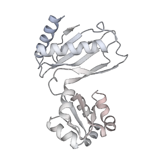 12759_7o81_Bv_v3-0
Rabbit 80S ribosome colliding in another ribosome stalled by the SARS-CoV-2 pseudoknot