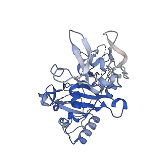 12761_7o85_A_v1-1
Anthrax toxin prepore in complex with the neutralizing Fab cAb29