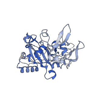12761_7o85_D_v1-1
Anthrax toxin prepore in complex with the neutralizing Fab cAb29