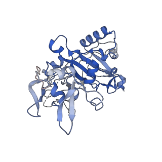 12761_7o85_M_v1-1
Anthrax toxin prepore in complex with the neutralizing Fab cAb29
