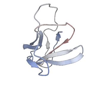 12761_7o85_N_v1-1
Anthrax toxin prepore in complex with the neutralizing Fab cAb29