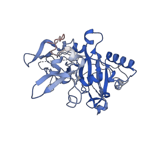 12761_7o85_P_v1-1
Anthrax toxin prepore in complex with the neutralizing Fab cAb29