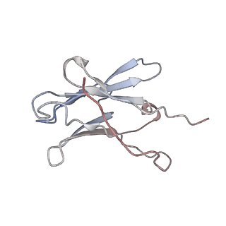 12761_7o85_R_v1-1
Anthrax toxin prepore in complex with the neutralizing Fab cAb29