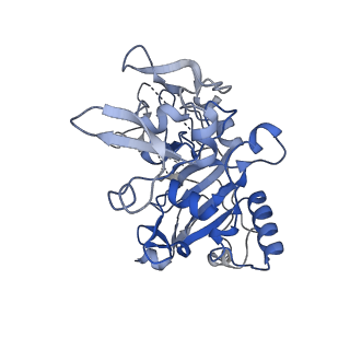 12761_7o85_S_v1-1
Anthrax toxin prepore in complex with the neutralizing Fab cAb29
