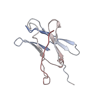 12761_7o85_U_v1-1
Anthrax toxin prepore in complex with the neutralizing Fab cAb29