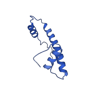 0652_6o96_B_v1-3
Dot1L bound to the H2BK120 Ubiquitinated nucleosome