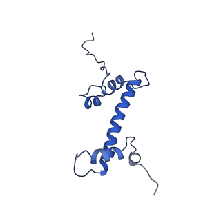 0652_6o96_C_v1-3
Dot1L bound to the H2BK120 Ubiquitinated nucleosome